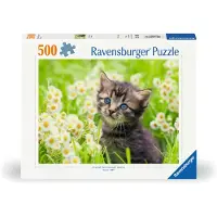 Ravensburger Pussel - 500 Delar - Kattunge på ängen - - One Size - Pussel