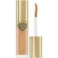 Dolce&Gabbana Everlast Concealer 11 ml 20 Mittel – Goldene Untertöne