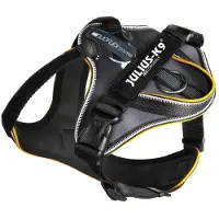 JULIUS K-9 Idc Longwalk Hundsele