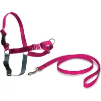 Petsafe Easy Walk Hundsele