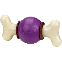 Nayeco Busy Buddy Bouncy Bone Leksak