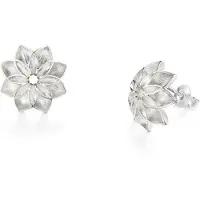 Lumoava Euphoria örhängen 5461 00 000