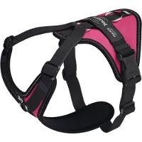 JULIUS K-9 Longwalk Light Hundsele