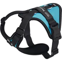 JULIUS K-9 Longwalk Light Hundsele