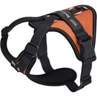 JULIUS K-9 Longwalk Light Hundsele