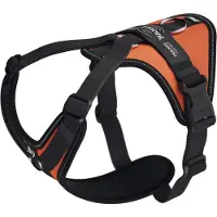 JULIUS K-9 Longwalk Light Hundsele