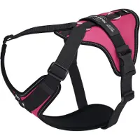 JULIUS K-9 Longwalk Light Hundsele