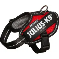 Julius-K9 K9 IDC POWAIR sele, str. Baby 1, röd, 29-36 cm