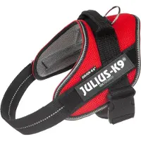 JULIUS K-9 K9 IDC POWAIR sele, Storlek: 0, röd, 58-76 cm