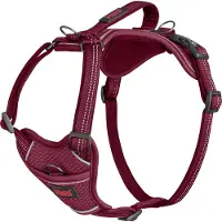 Halti Anatomy Dog Hundsele