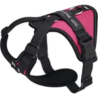 JULIUS K-9 Longwalk Light Hundsele