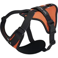 JULIUS K-9 Longwalk Light Hundsele
