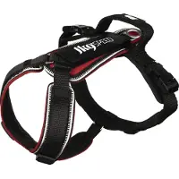 Julius-K9 Speed Hundsele