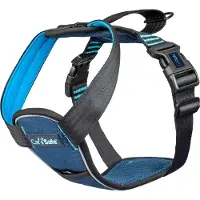 Company of animals Carsafe Crash Tested Dog Hundsele