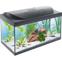 Tetra Akvarium - Startlina Tank LED 54L, svart