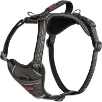 Halti Anatomy Dog Hundsele