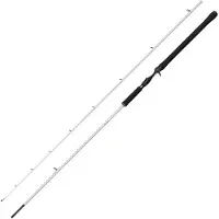 Abu Garcia Beast X2 Trolling Cast spinnspö