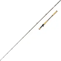 Abu Garcia Beast Pro2 Baitcastingspö