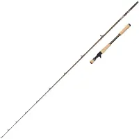 Abu Garcia Beast Pro2 Baitcastingspö
