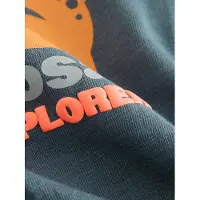 Next T-shirt grå / gran / orange