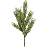 Newport Forrest tallkvist grön