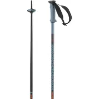 Salomon Polar Pro Stavar