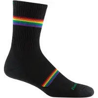 Darn Tough Men's Prism Micro Crew Lightweight Running Sock with Cushion Black