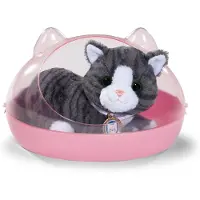 Baby Born My Cat Cookie with Box
