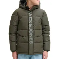 Jack & jones Junior Vinterjacka 'JCOSpeed' ljusgrå / grön