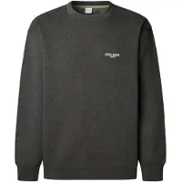 Pepe Jeans för män. PM5800031 Terry Crew sweatshirt grå (L), Casual, Bomull