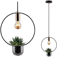 Paulmann Tasja 79748 Pendellampa Speciallampa E27 20 W Koppar, Svart