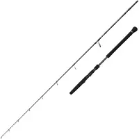 Savage Gear Defiance Sg2 Light Lätt Jiggingspö