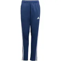 Adidas Tiro 25 Essentials Winterized Training Träningsbyxor