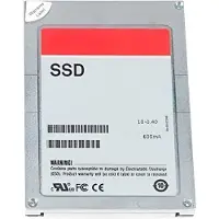 Dell - SSD - 1.92 TB - inbyggd - 2.5" (i 3,5-tums hållare) - SAS 12Gb/s - för PowerEdge C6420 (3.5")