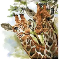 Diamond Dotz 40 x 40 cm - Giraffer