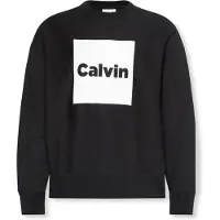 Calvin Klein Premium Fleece Logo Graphic Relaxed Sweatshirt