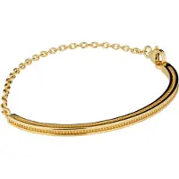 Lumoava Aina förgylld armring 65x3mm L63259700180
