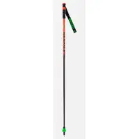 Rossignol Hero Cak Stavar