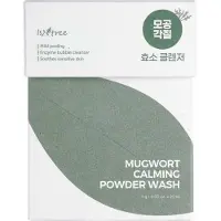 Isntree - Mugwort Calming Powder Wash