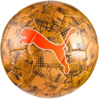 Puma Cup Graphic Fotboll