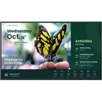 BenQ ST5504 - 55 Diagonal klass ST04 Series LED-bakgrundsbelyst LCD-skärm - digital skyltning - Android - 4K UHD (2160p) 3840 x 2160 - Direct LED