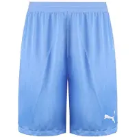 Puma DryCell TeamFinal 21 Stretch Midja Herr Ljusblå Shorts 704257 18