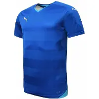 Puma DryCell Kortärmad V-Neck Pullover Blå T-shirt för herrar 702064 02