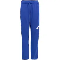 Adidas Essentials Joggers