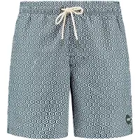 Shiwi Badshorts 'Mike' mörkgrön / vit