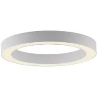 Paul Neuhaus LED taklampa Lines, dimbar, Vitt / opal, Vardagsrum / matsal, Aluminium / grå / zink, Modern, LED-taklampa