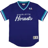 Mitchell & ness Charlotte Hornets Special Script Mesh T-shirt för herrar