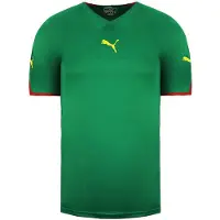 Puma B2B Grön T-shirt för herrar
