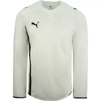 Puma King PAOK FC Tredje Långärmad Vit Svart Herr Fotbollströja 737223 01