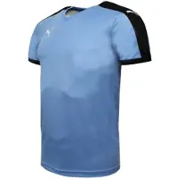 Puma Pitch Kortärmad Tröja Träning Gym T-Shirt Blå - Herrar